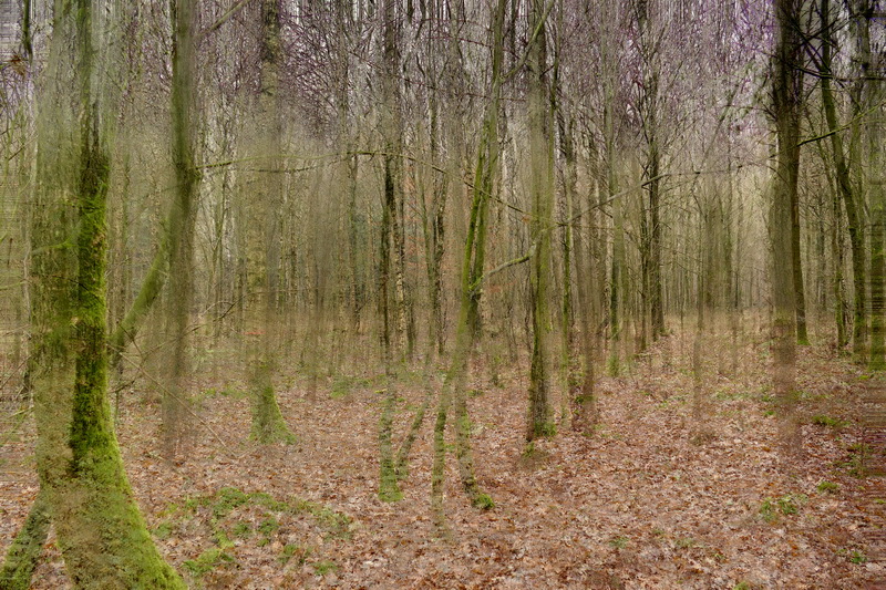 w1-39